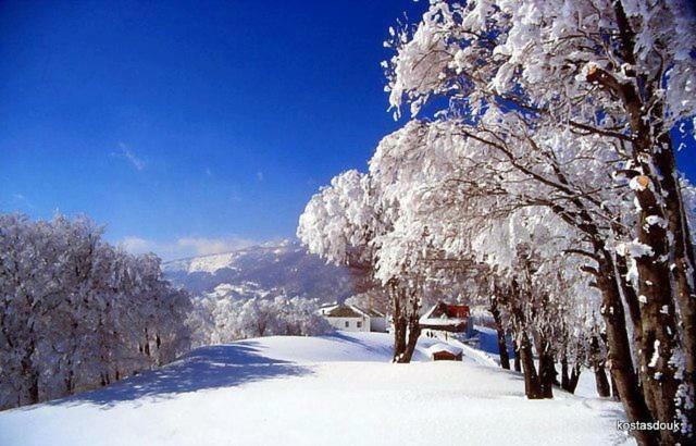 Holiday home Traditional Mansion Calliopec-uvc Sterilized *